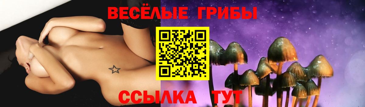 Псилоцибиновые грибы мухоморы Избербаш